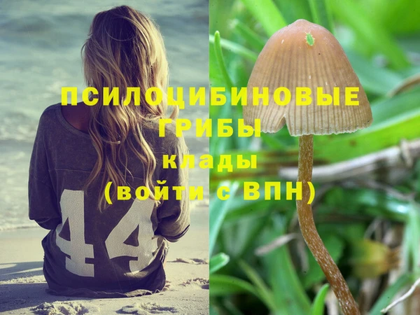 Альфа ПВП Киреевск