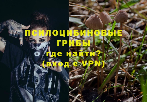 Альфа ПВП Киреевск
