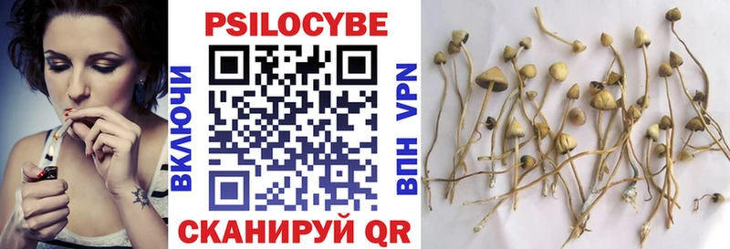 Псилоцибиновые грибы GOLDEN TEACHER  Купить закладки  Усть-Кут 